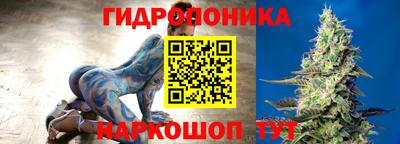 сатива Гусиноозёрск