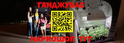 Альфа ПВП Гусев